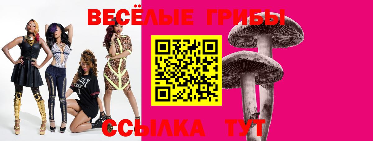 Галлюциногенные грибы MAGIC MUSHROOMS  Вход с VPN  Иваново 